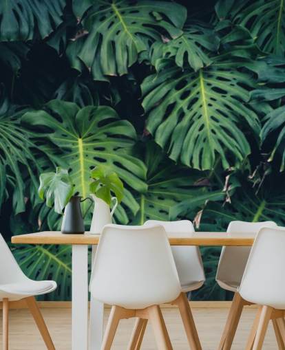 Tropiske blader Bakgrunn Tropiske blader Bakgrunn