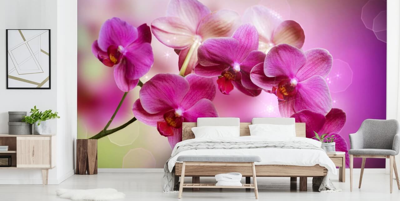 Lila Orchidee Tapete
