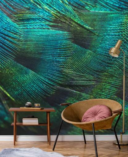 Closeup Peacock Feathers Peacock Feather Wallpaper Closeup Peacock Feathers Peacock Feather Wallpaper