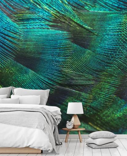 Closeup Peacock Feathers Wall Mural Closeup Peacock Feathers Wall Mural