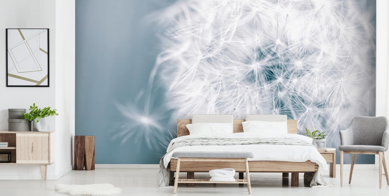 harmaa voikukka-taustakuvamaalaus nimeltä Dandelion Clock makuuhuoneisiin, toimistoihin ja kylpyhuoneisiin