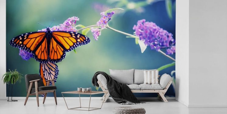 Butterfly Wallpaper | Wallsauce UK