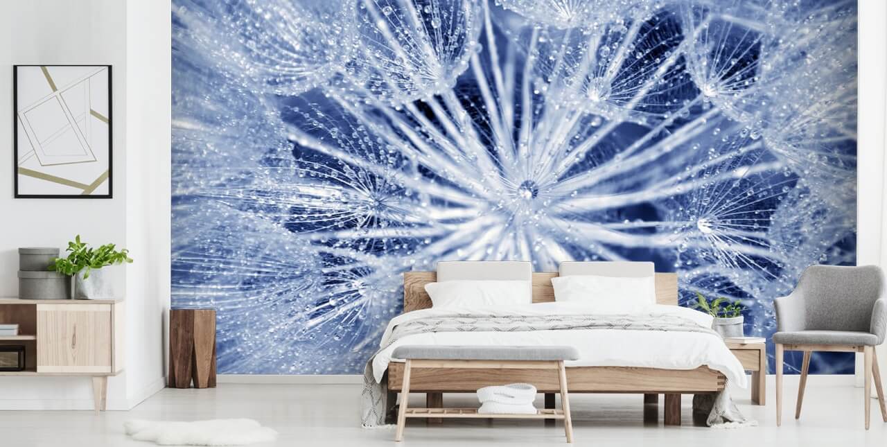 Closeup of Blue Dandelion Mural Closeup of Blue Dandelion Mural