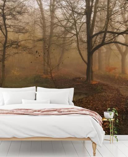 Sumuiset puut ja polku taustakuva Sumuiset puut ja polku taustakuva