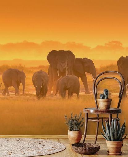 Manada de elefantes em Sunset Wall Mural Manada de elefantes em Sunset Wall Mural