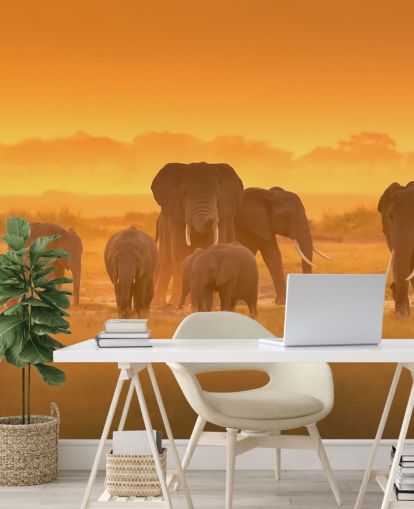 Elephant Herd in Sunset Wall Mural Elephant Herd in Sunset Wall Mural