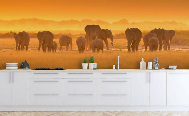 Elefant besætning i solnedgang vægmaleri 
