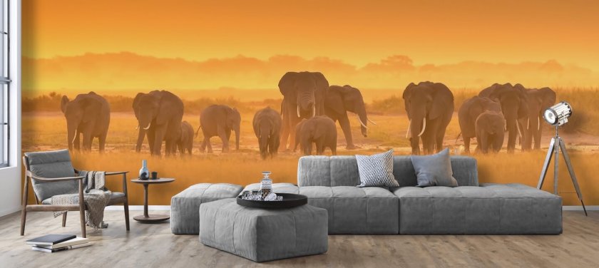 Elephant lauma auringonlaskun seinämaalaus 