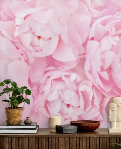 rosa Pfingstrosen Nahaufnahme Tapete rosa Pfingstrosen Nahaufnahme Tapete