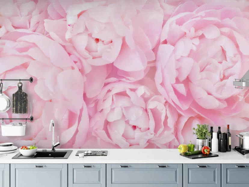 Light Pink Peony – beautiful wall mural – Photowall