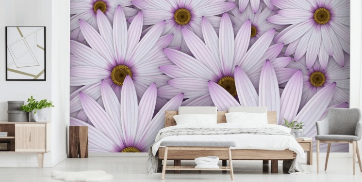 Purple Daisies Wallpaper