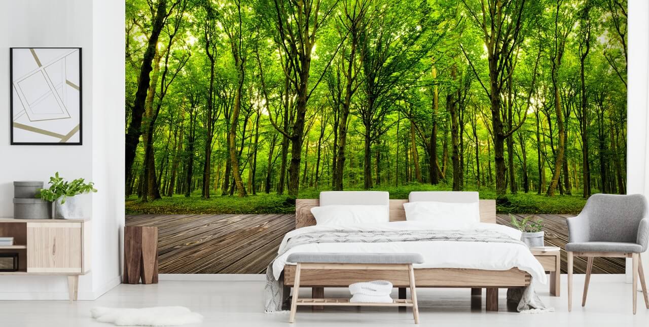 Hintergrundbild „Grüner Wald von House“