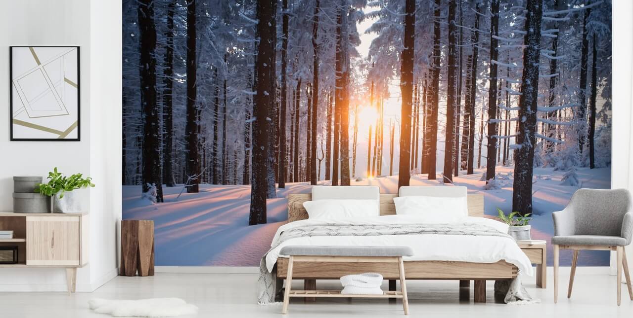 weiße und braune Waldtapete namens Sunset in the Woods für Wohnzimmer, Büros und Unternehmen