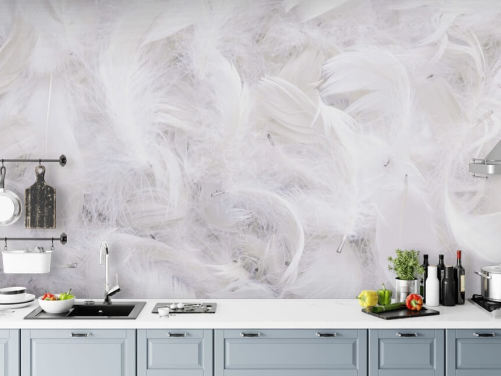 Ostrich Feather Feather Wallpaper