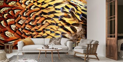 Animal Print Wallpaper & Feather Wallpaper