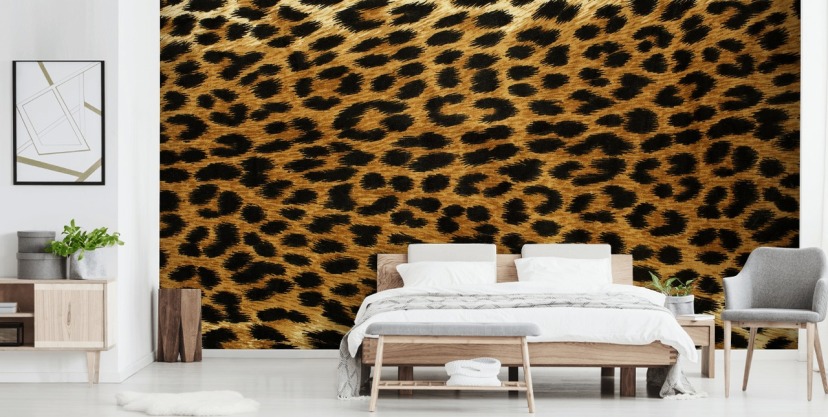 Animal Print Wallpaper & Feather Wallpaper | Wallsauce UK