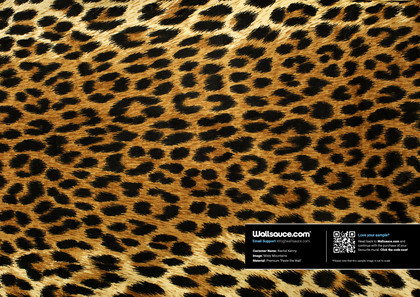 Leopard Stickers Muraux Salon Chambre Décoration amovible Poster Wallpaper  @su598
