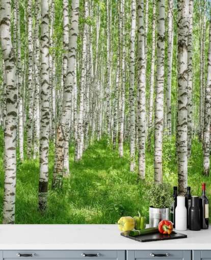 vit anpassningsbar björkträd tapetväggmålning kallad White Birch Trees för sovrum vit anpassningsbar björkträd tapetväggmålning kallad White Birch Trees för sovrum