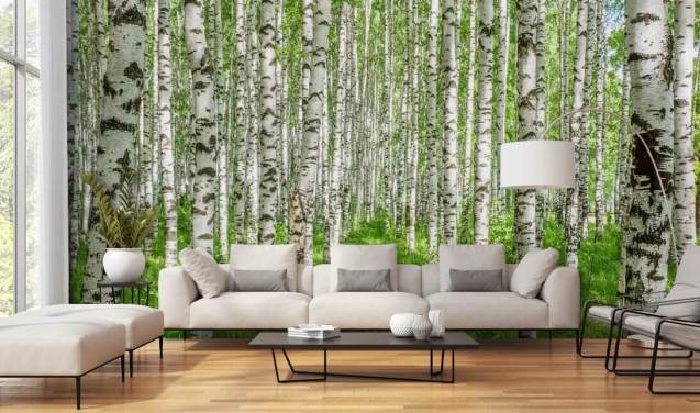 valkoinen muokattava koivun taustakuvamaalaus nimeltä White Birch Trees makuuhuoneisiin