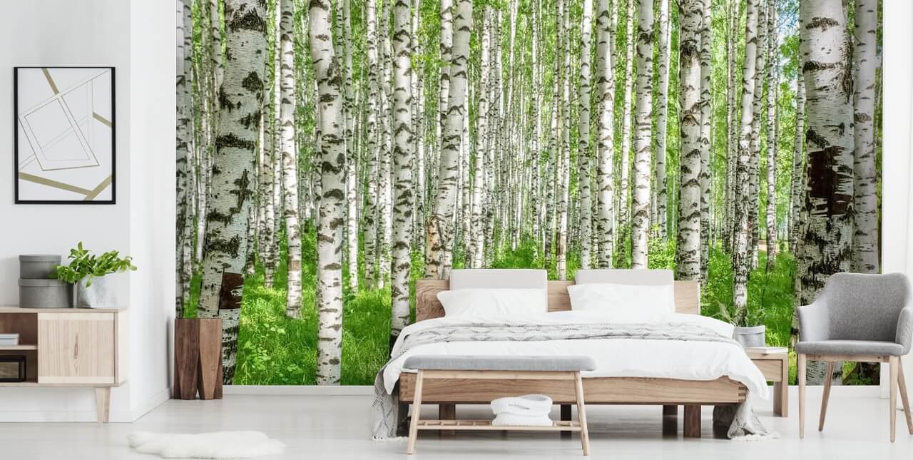 hvidt tilpasseligt birketræ tapetmaleri kaldet White Birch Trees til soveværelser