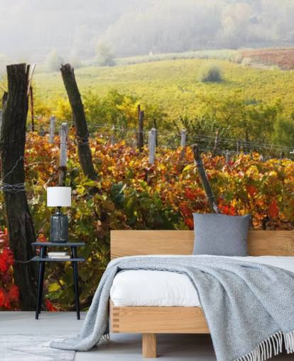 Beautiful Vineyard and Countryside Wall Mural Beautiful Vineyard and Countryside Wall Mural