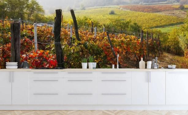 Decorazione murale con bellissimo vigneto e campagna