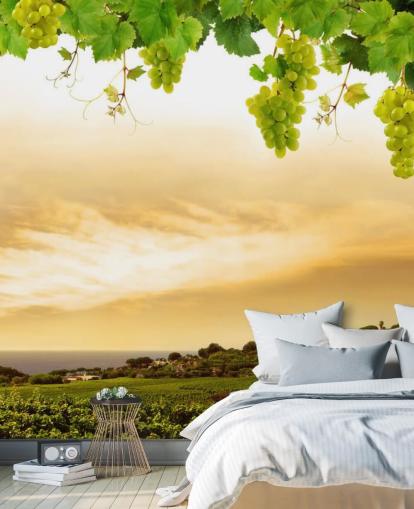 Vineyard by sea and grapevine wallpaper Vineyard by sea and grapevine wallpaper
