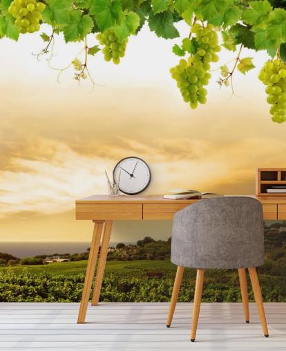 Vineyard by sea and grapevine wallpaper Vineyard by sea and grapevine wallpaper