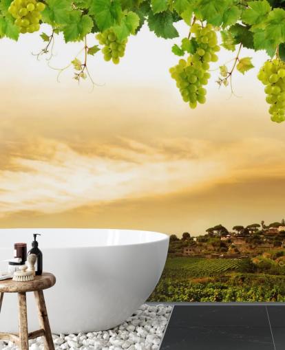 Vineyard by sea and grapevine wallpaper Vineyard by sea and grapevine wallpaper