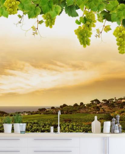 Carta da parati Vineyard by sea e vite Carta da parati Vineyard by sea e vite