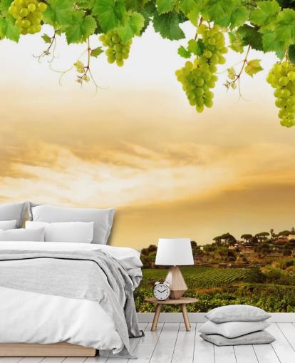 Vineyard by sea and grapevine wallpaper Vineyard by sea and grapevine wallpaper