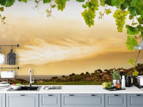 Vineyard by sea and grapevine behang