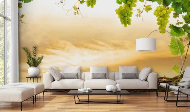 Vineyard by sea and grapevine wallpaper
