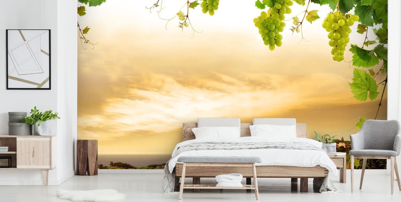 Fond d'écran Vignoble par mer et vigne Fond d'écran Vignoble par mer et vigne