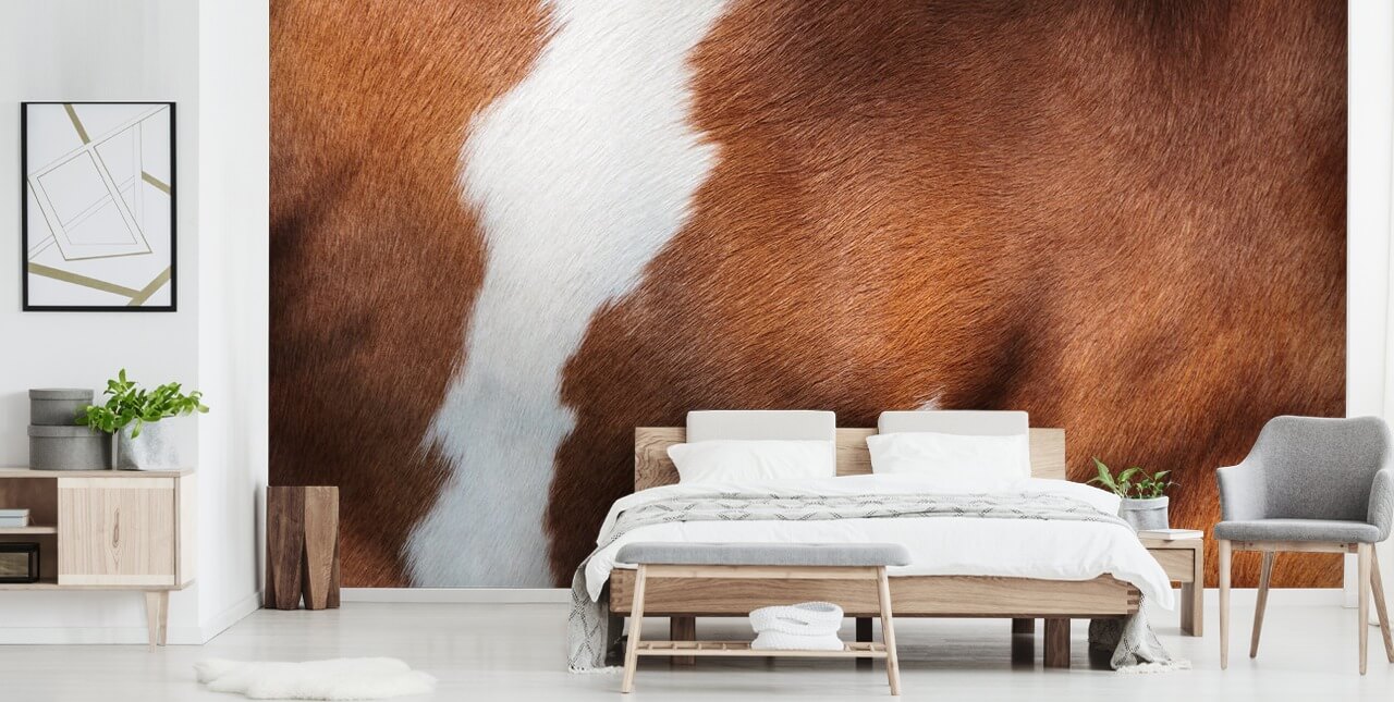 Wandbild „Braune und weiße Kuh“ Wandbild „Braune und weiße Kuh“