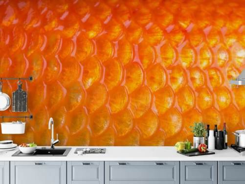 Goldfish Print Wall Mural