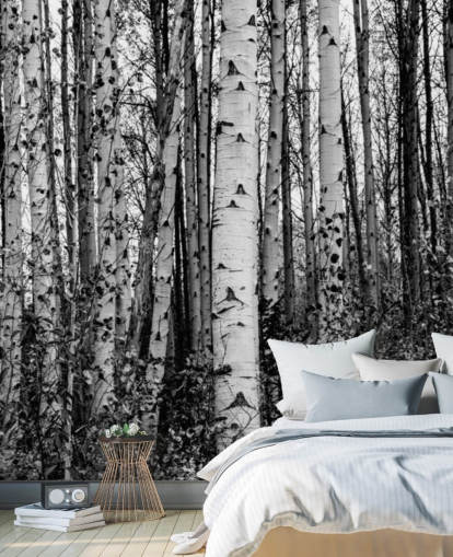 Zwart-witte berkenbomen behang Zwart-witte berkenbomen behang