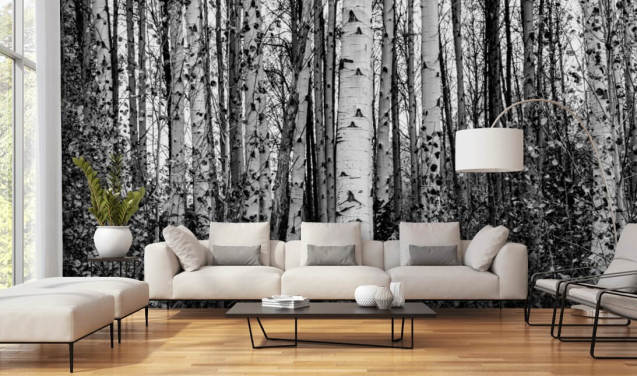 Forest Wallpaper & Tree Wallpaper Murals | Wallsauce US