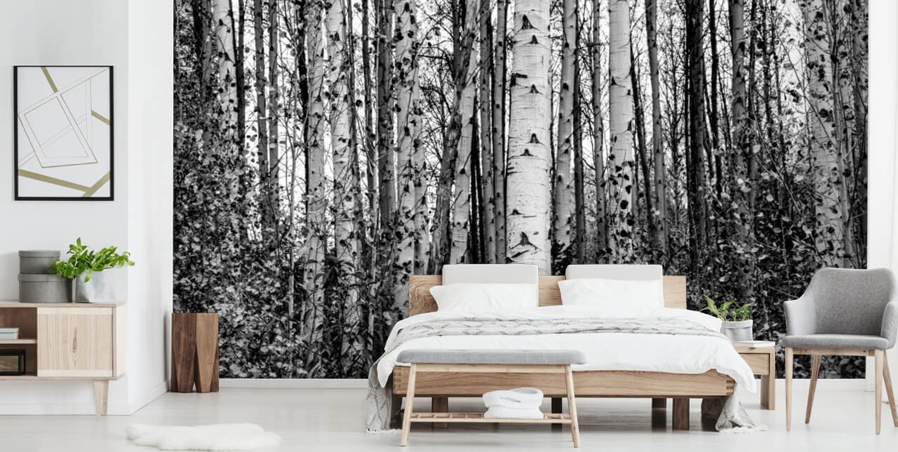 Schwarze und weiße Birken bemalte Tapete Schwarze und weiße Birken bemalte Tapete