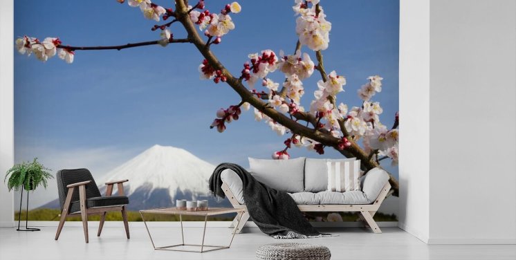 Pink Blossom Ast Mount Fuji Fototapete