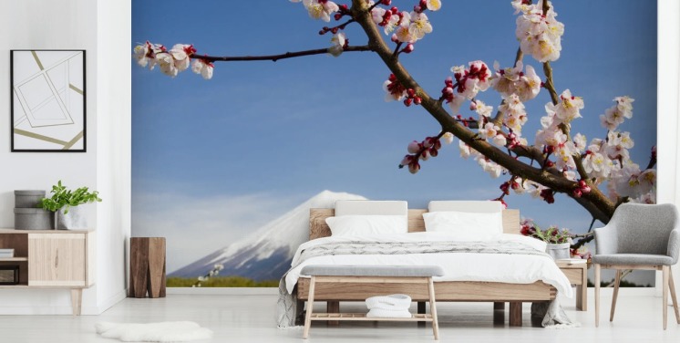 Rosa Blossom Branch Mount Fuji Mural