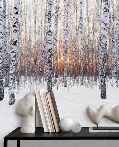 Snöig björk skogsmark med solnedgång Bakgrund Snöig björk skogsmark med solnedgång Bakgrund