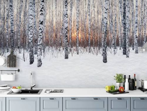 Snowy Birch Tree Woodland mit Sonnenuntergang Wallpaper
