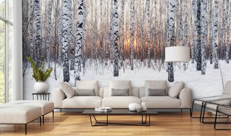 birch trees in winter wallpaper