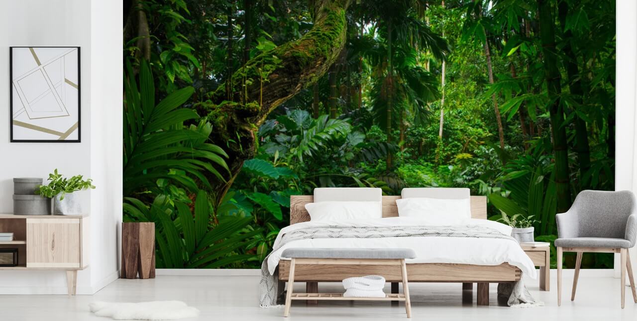 leafy green jungle wallpaper leafy green jungle wallpaper