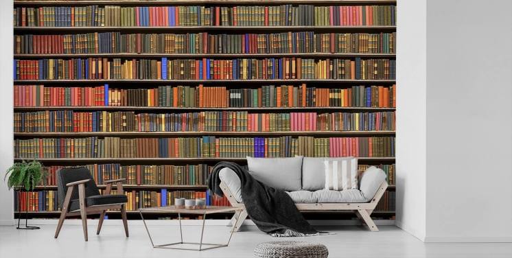 Bookcase Wallpaper & Wall Murals | Wallsauce UK