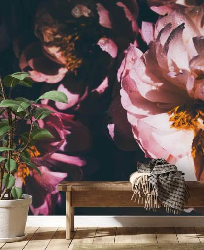 Mørk Blomster Rosa Blomster Bakgrunn Mørk Blomster Rosa Blomster Bakgrunn