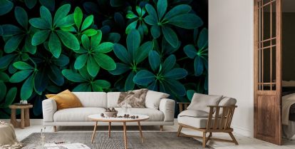 Vihreä Jungle Leaf Taustakuva Seinämaalaus | Wallsauce FI