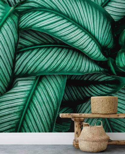 Gröna blad med vita ränder Bakgrund Gröna blad med vita ränder Bakgrund