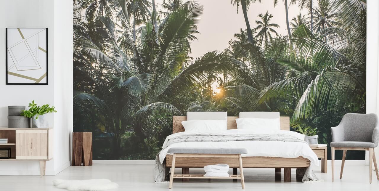 Sun Shining Through Jungle Wall Mural